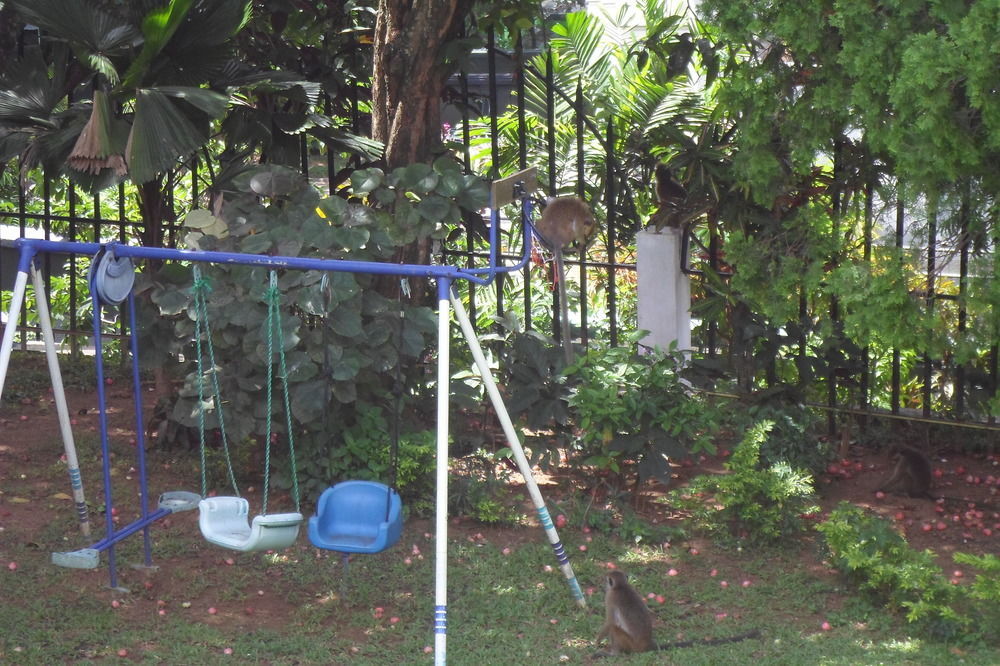 Kandy Green View Bungalow Luaran gambar