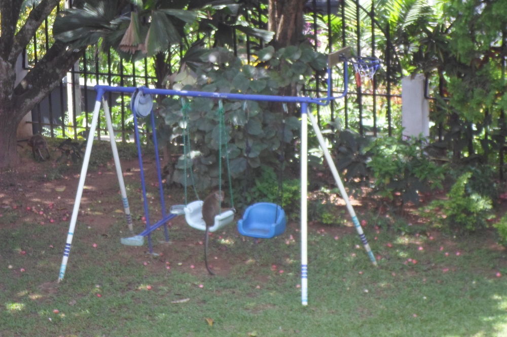 Kandy Green View Bungalow Luaran gambar