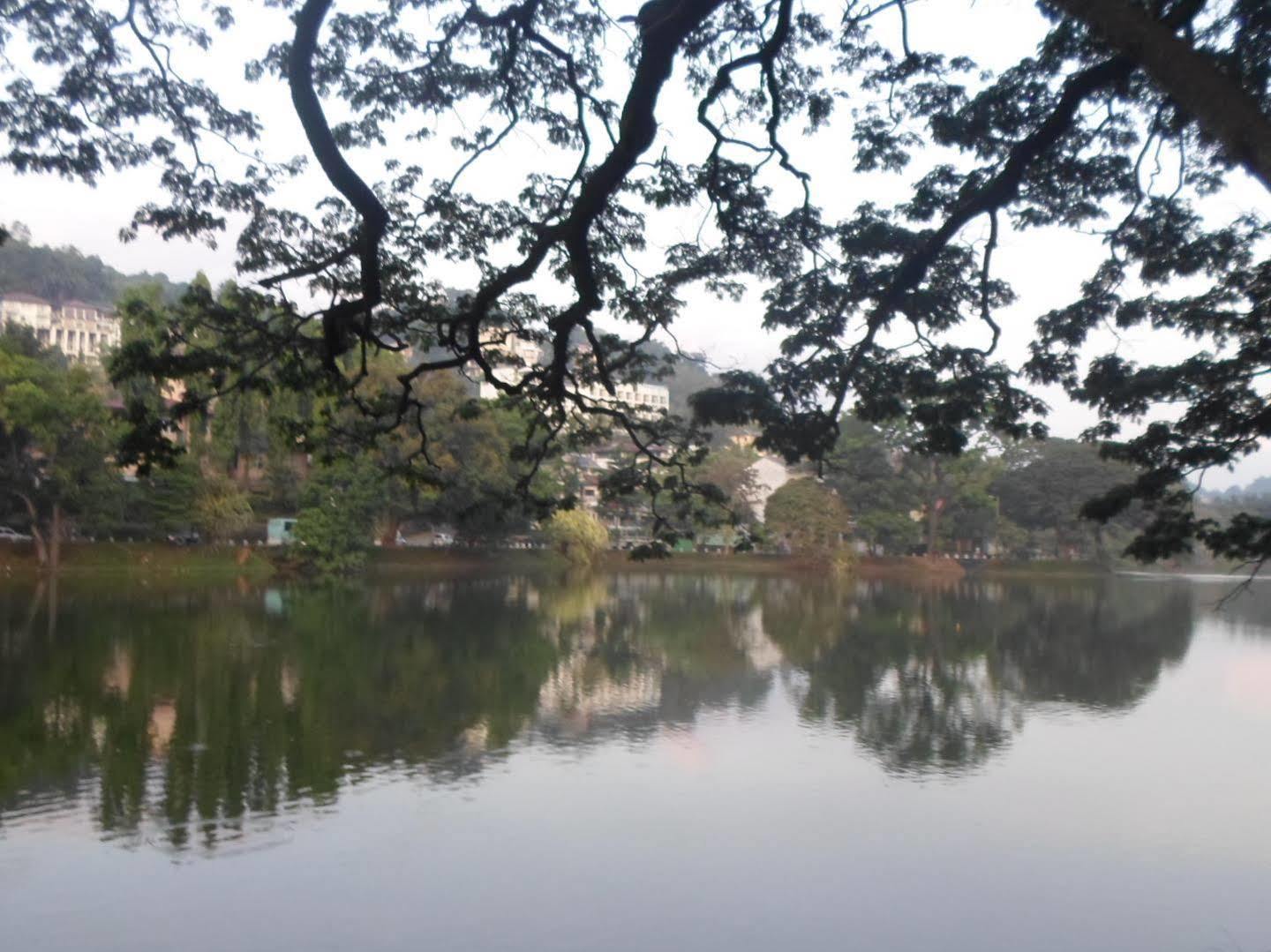 Kandy Green View Bungalow Luaran gambar
